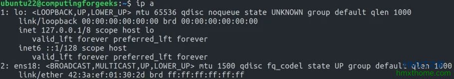 在Ubuntu上使用Netplan配置Linux桥接器/VLAN接口