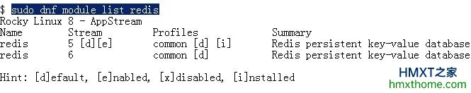 Rocky Linux 8/AlmaLinux 8上安装和配置Redis服务器