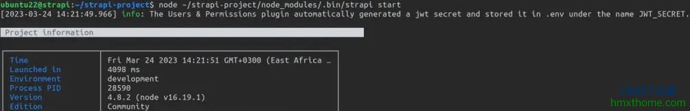 在Ubuntu 22.04上部署带有SEO插件的Strapi应用程序